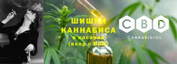 МДПВ Медногорск