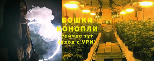 гидропоника Мегион