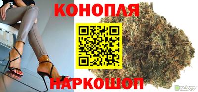 крисы Ипатово
