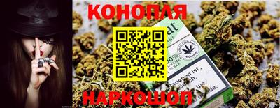 крисы Ипатово