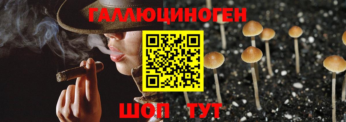 Лениногорск  Псилоцибиновые грибы прущие грибы  Вход с VPN 