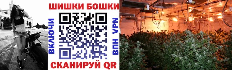 Шишки марихуана ГИДРОПОН  Лениногорск 